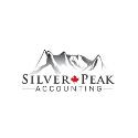 Silver Peak Accounting company logo