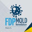 FDP Mold Remediation of Miami company logo