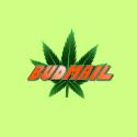 Budmail420 company logo