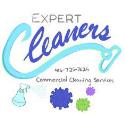 Expert Cleaners Inc. company logo