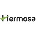 Hermosa Loans - Texas Cash Advance company logo