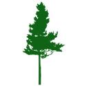 Abbotsford Tree Specialists company logo