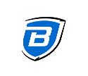 Bulletproof InfoTech company logo