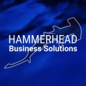 Hammerhead Business Solutions company logo