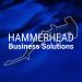 Hammerhead Business Solutions