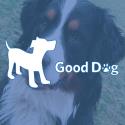 Good Dog Rocky Point company logo